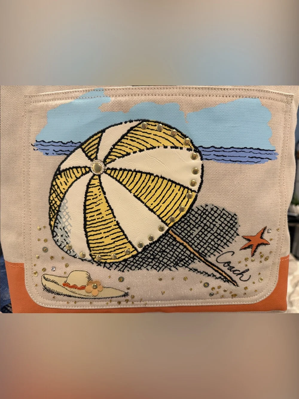 Coach Limited Edition Pierre Le-Tan Beach Canvas Tote